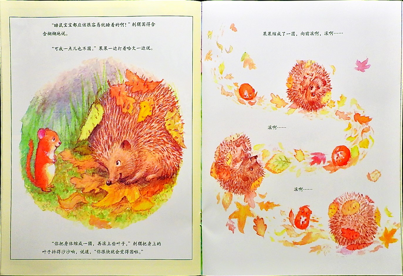 睡鼠睡不着 (07),绘本,绘本故事,绘本阅读,故事书,童书,图画书,课外阅读